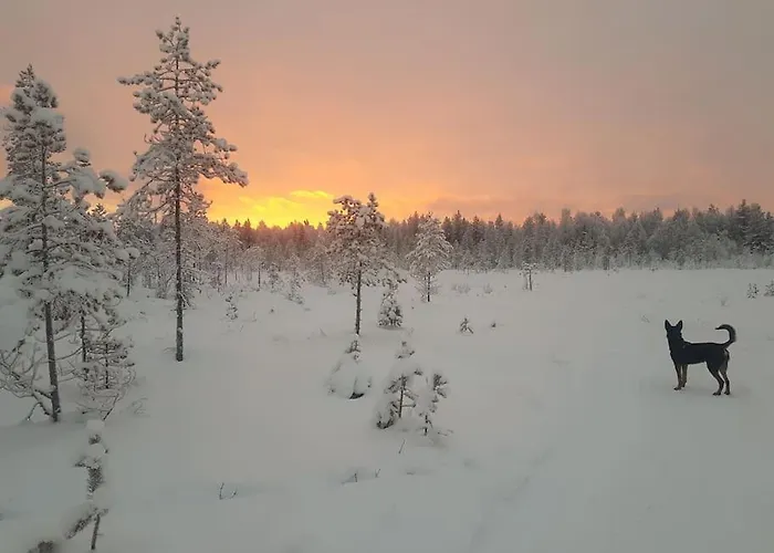Santa's * 로바니에미